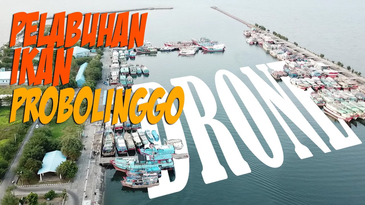 PROBOLINGGO VIRAL PELABUHAN PERIKANAN MAYANGAN PROBOLINGGO JAWA TIMUR