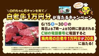 onちゃん6チャンを見て「白老牛」を当てよう！