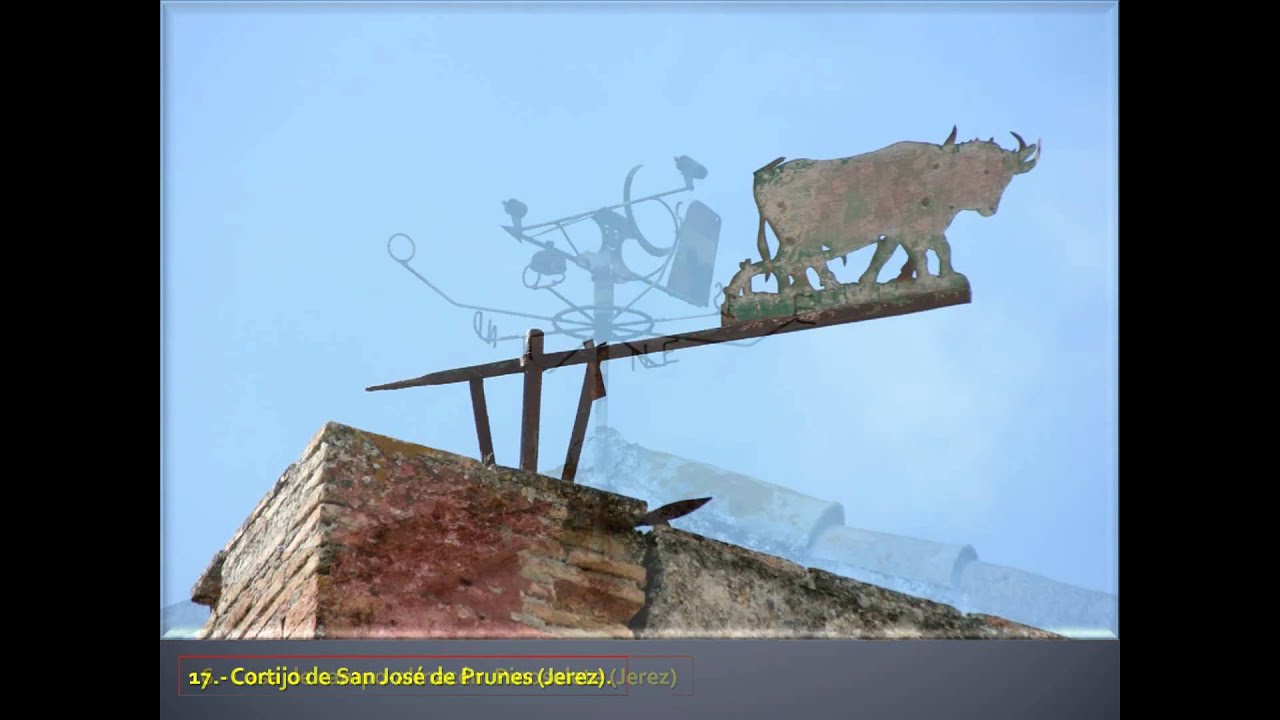 Veletas en la Campiña de Jerez.avi
