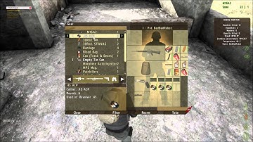 DayZ: Debug Forest, Glitch Spawn, Sniped in Cherno