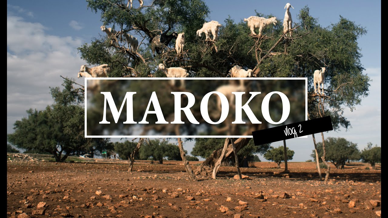 Maroko: všade samý hašiš