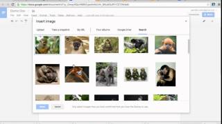 Inserting Objects into Google Docs