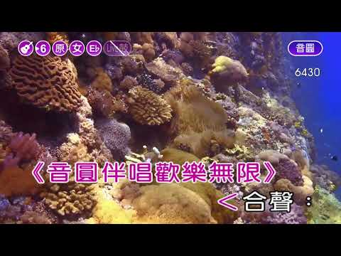 等無人~尤雅~女原Eb調~伴奏~導唱丙