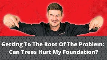 Getting To The Root Of The Problem: Can Trees Hurt My Foundation?