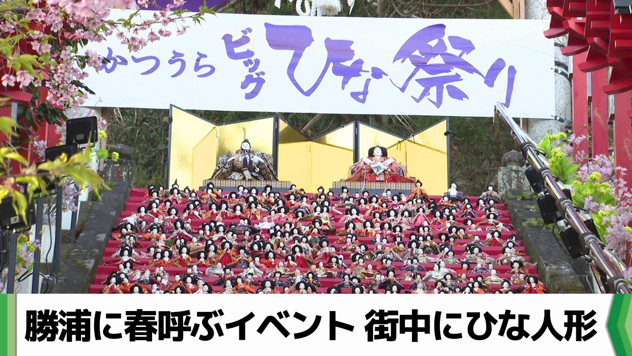 ジャスパーフェスティバルトレイ『ガールズセレブレーション』雛祭り 1,800 Hina dolls decorate the stone steps as the 