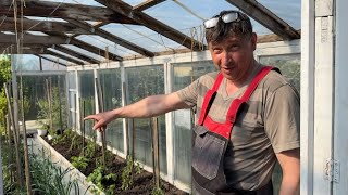 Провёл воду в ТЕПЛИЦУ. Поставила КВАС. Докупила РАССАДУ 🌶️🥬