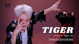 [Sub Indo] HOSHI Feat. Tiger JK - 호랑이 (Tiger) lyrics