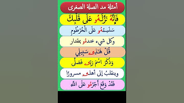 مد الصلة الصغرى  #تجويد #تجويد_القران #أحكام_التجويد #المدود