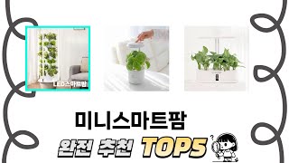 편하게 쓸 수 있는 미니스마트팜 추천 5가지