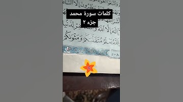 معانى كلمات سورة محمد ج ٢