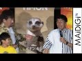 佐藤二朗、ミキ・亜生に&ldquo;蹴り突っ込み&rdquo; 映画「ライオン・キング」大ヒットイベント