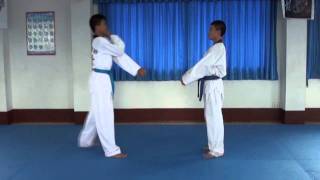 One Step Sparring 1 - 10