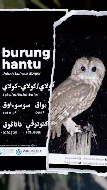 TERSERAM! SUARA BURUNG KEMATIAN  #misteri #kisahseramnetizen #funny #horror #jinpenunggu #viralvideo