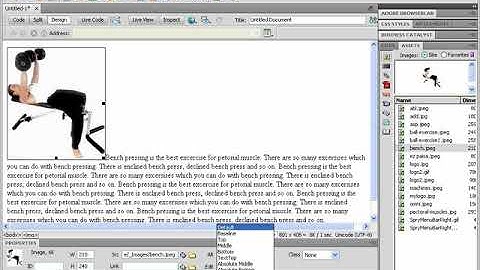 Dreamweaver CS6 Text with Images Chapter 6, class 6.3 @Shiz Tech in Urdu Hindi