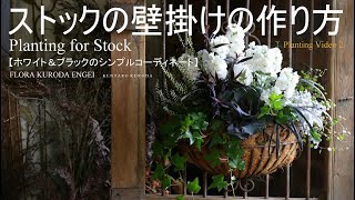 ストックの壁掛け 寄せ植え-フローラ黒田園芸-【Planting Video】＊字幕をONにしてご覧いただくと、解説が入ります。