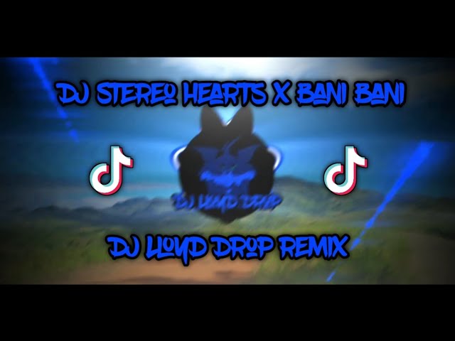 DJ Stereo Hearts x Bani Bani Slowed (DJ Lloyd Drop Remix) class=