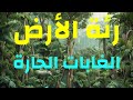 فيديو تعليمي عن الغابات الاستوائية المطيرة