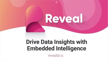Reveal BI