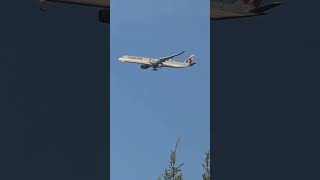 Amazingly, lookma goog memory when Qatar airplane is landing in Melbourne airport #airplane #airport