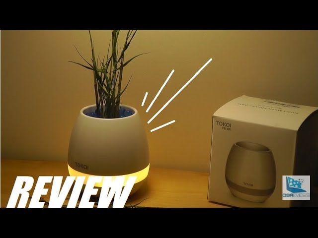 REVIEW: Smart Flower Pot - Bluetooth Mood Lamp? - YouTube