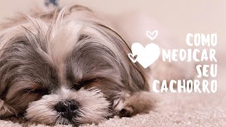 😉 Como dar Remédio Facilmente para o seu 🐶 Cachorro - Faça o Comprimido Parecer um Petisco