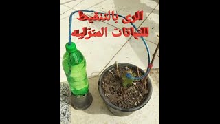 طريقه الرى قطره قطره للنباتات المنزليه