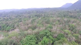 SURVEI DRONE HULU SUNGAI TENGAH KECAMATAN BATU BENAWA, PAGAT #3