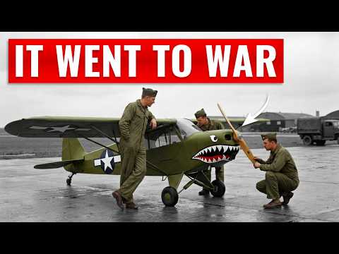 When This 'Knee-High' US Plane Went After Germans — No One Believed What Happened Next