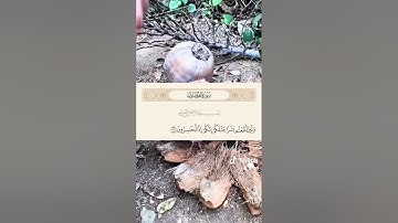 احترم القرآن يا صديقي وانشره فالدال على الخير كفاعله #احترم_القرآن #انشرو_القران #آيات #لايك