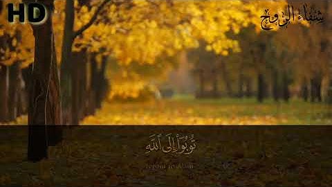 ما أجملها من تلاوة هادئة تريح القلب 💮💙