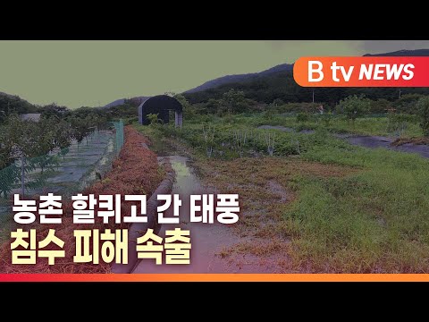 Capa de [B tv 대구뉴스]농촌 할퀴고 간 태풍…침수 피해 속출