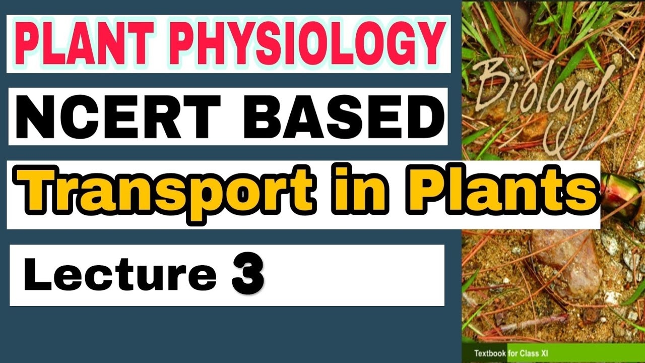 NCERT Ch-11 Transport in Plants Class XI Plant Physiology lecture 3 Boards