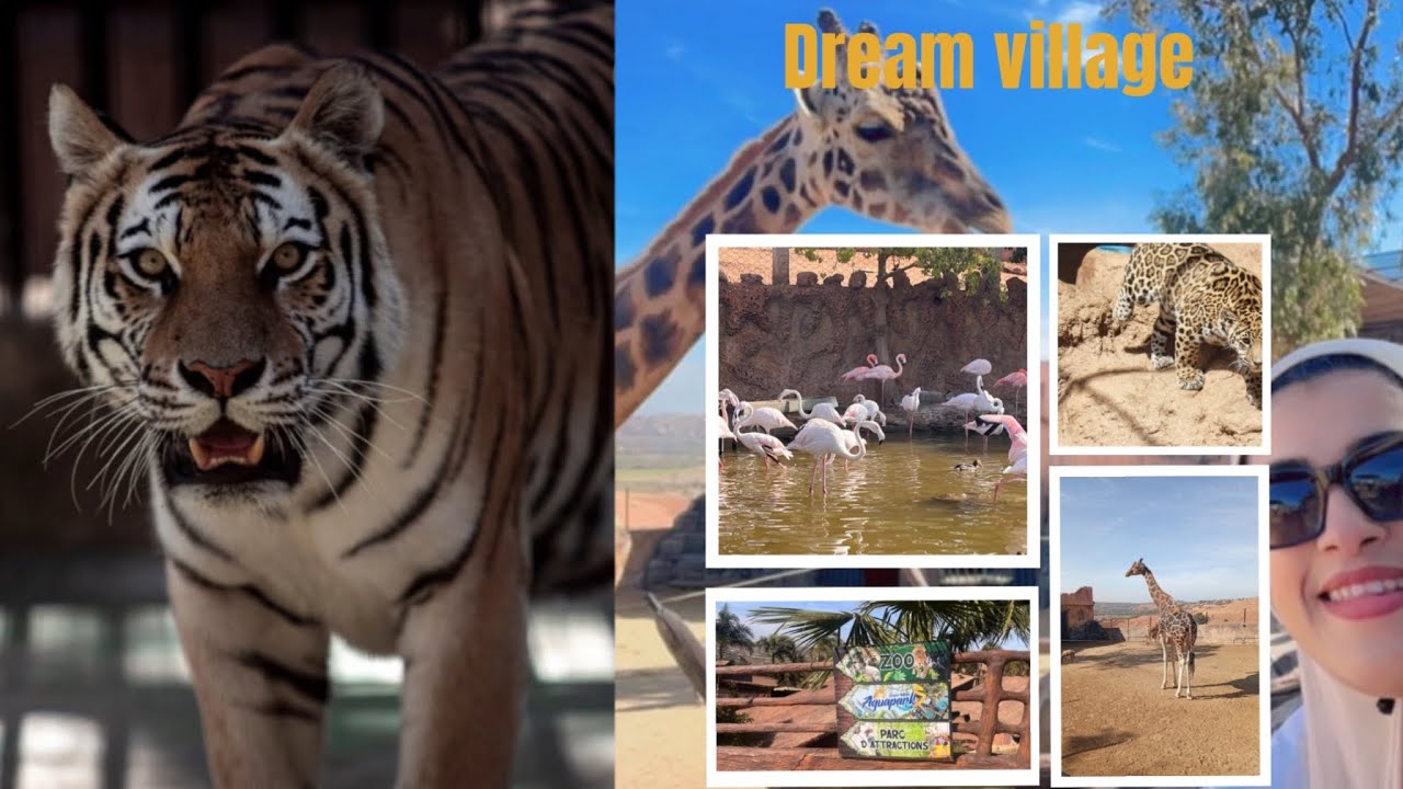 جولة في دريم ڤيلاج 2025 Dream Village ثمن الدخول ثمن الألعاب 🎢مع المبيت والحيونات روعة