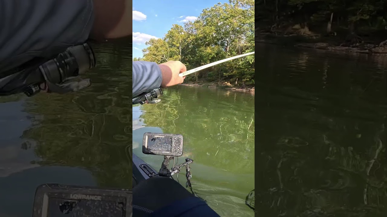 Эта приманка для ловли окуня просто вне конкуренции — Nedwacky Battle Bug.