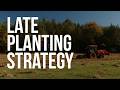 Late Season Food Plot Planting for Whitetail Deer