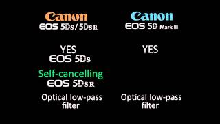 Canon 5D Mark III Vs Canon 5DS -  5DS R