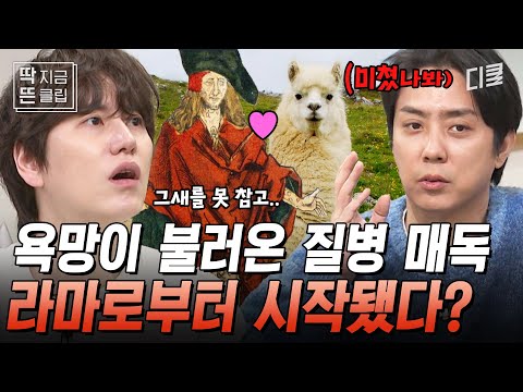 [#벌거벗은세계사] 목동들이 라마와의 성관계를 통해 옮겨 온 질병의 정체💥 최근 한국과 일본에서도 급증하고 있는 '매독'의 전염 위험성