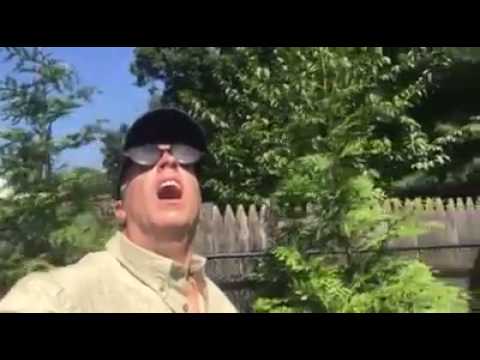 Be careful watching the eclipse! | VicDibitetto.net