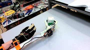 Intelligent Robot Hand Prototype