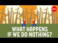 Climate Change Consequences: Visualizing Our Future By 2050