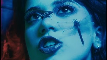 Swarm (Official Music Video)