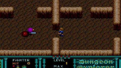 Dungeon Explorer  NEC TURBOGRAFX 16 HYPERSPIN NOT MINE VIDEOSUSA
