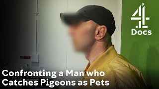 RSPCA Trainee Confronts a Man Who Captures Pigeons as Pets