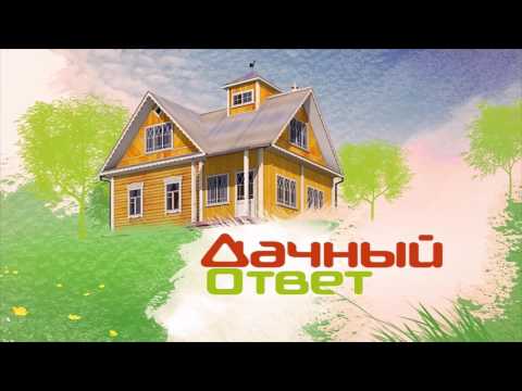 "Дачный ответ" от 13.08.17, "Ударная мансарда"