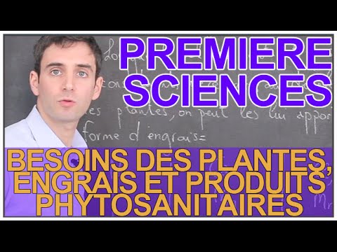 Vidéo: Sprut®, Zontran®, Lornet® - Produits Phytosanitaires Contre Les Mauvaises Herbes