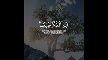أجمل حالات واتس اب قرآن كريم بدون حقوق بصوت عبدالعزيز الجريسي | تلاوة حجازية تفوق الوصف🤩👌🏻