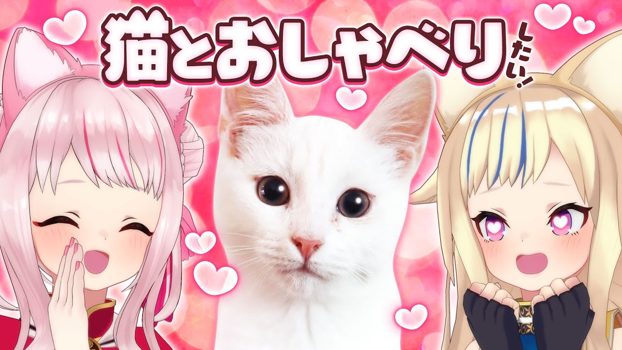 にゃんトーク 猫の翻訳機使った結果がかわいすぎた Youtube にゃんトーク 猫の翻訳機使った結果がかわいすぎた Youtube