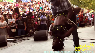 Wiyaala @ The Hague African Festival 2018