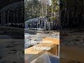 Панорамная теплица из стекла !