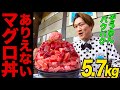 【大食い】完食者ゼロの衝撃マグロ丼5.7kgにぞうさんパクパクが挑戦！大トロ、ネギトロ、赤身などあらゆる部位を食べまくる【大胃王】【MUKBANG】【デカ盛りハンター】【モッパン】